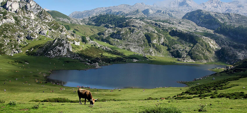 La carretera de los lagos de Covadonga es una de las carreteras más espectaculares de Esapaña