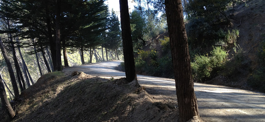 La carretera de los montes de Málaga es una de las carreteras más espectaculares de Esapaña