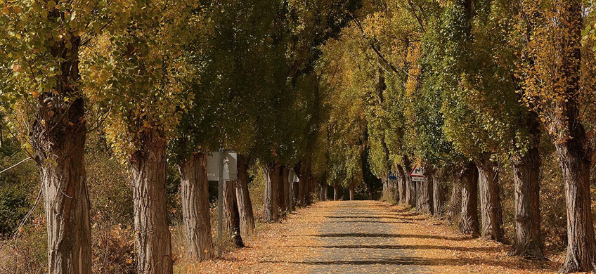 La carretera que va de Plasencia a Soria es una de las carreteras más espectaculares de Esapaña