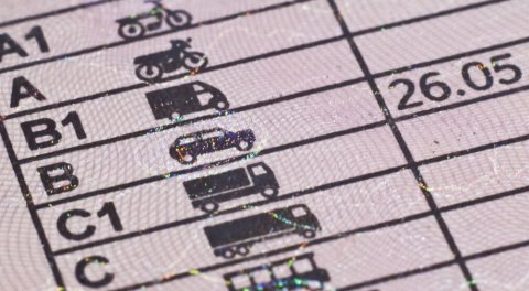 números carnet de conducir