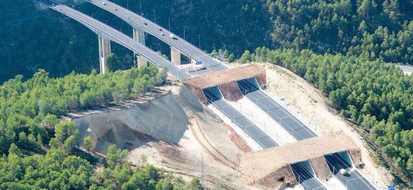 Pasos de fauna en carreteras: minimizando el riesgo de accidentes Pasos de fauna