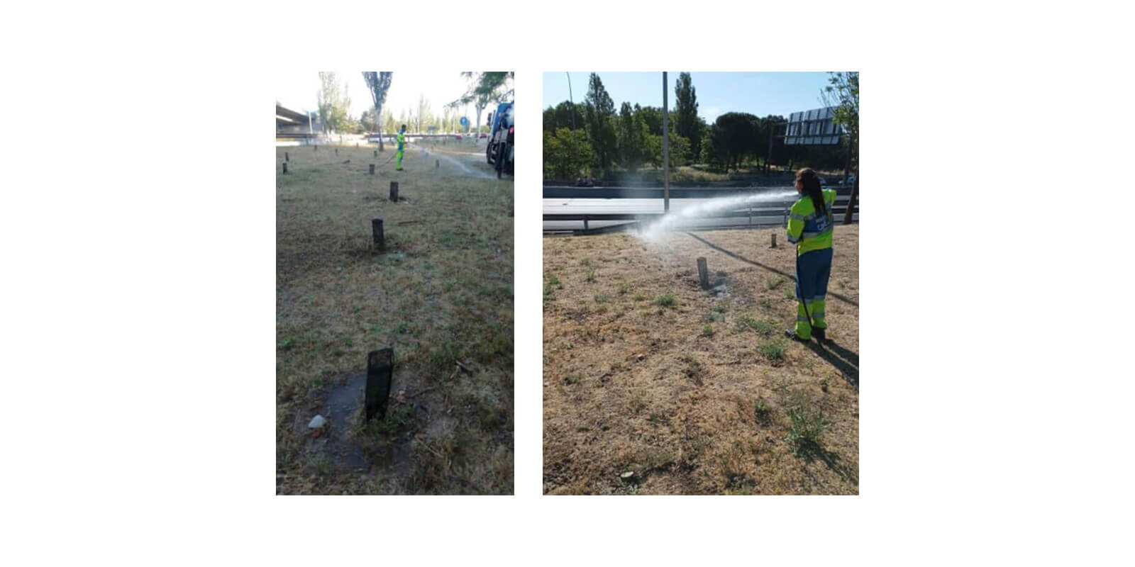 Ejemplo de riego en nuevas plantaciones